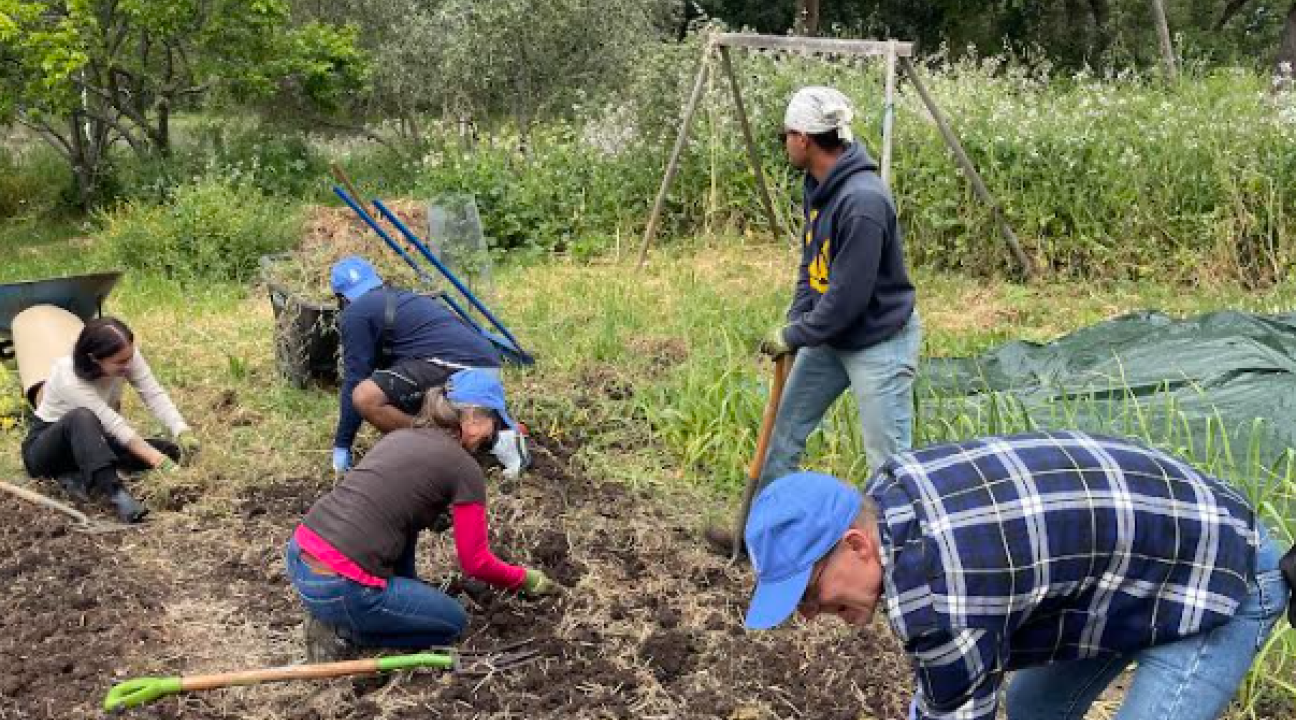 Seawolves Dig In at Campus ETC Garden