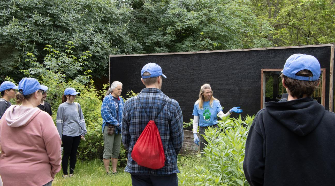 Seawolves Dig In Butterfly Garden