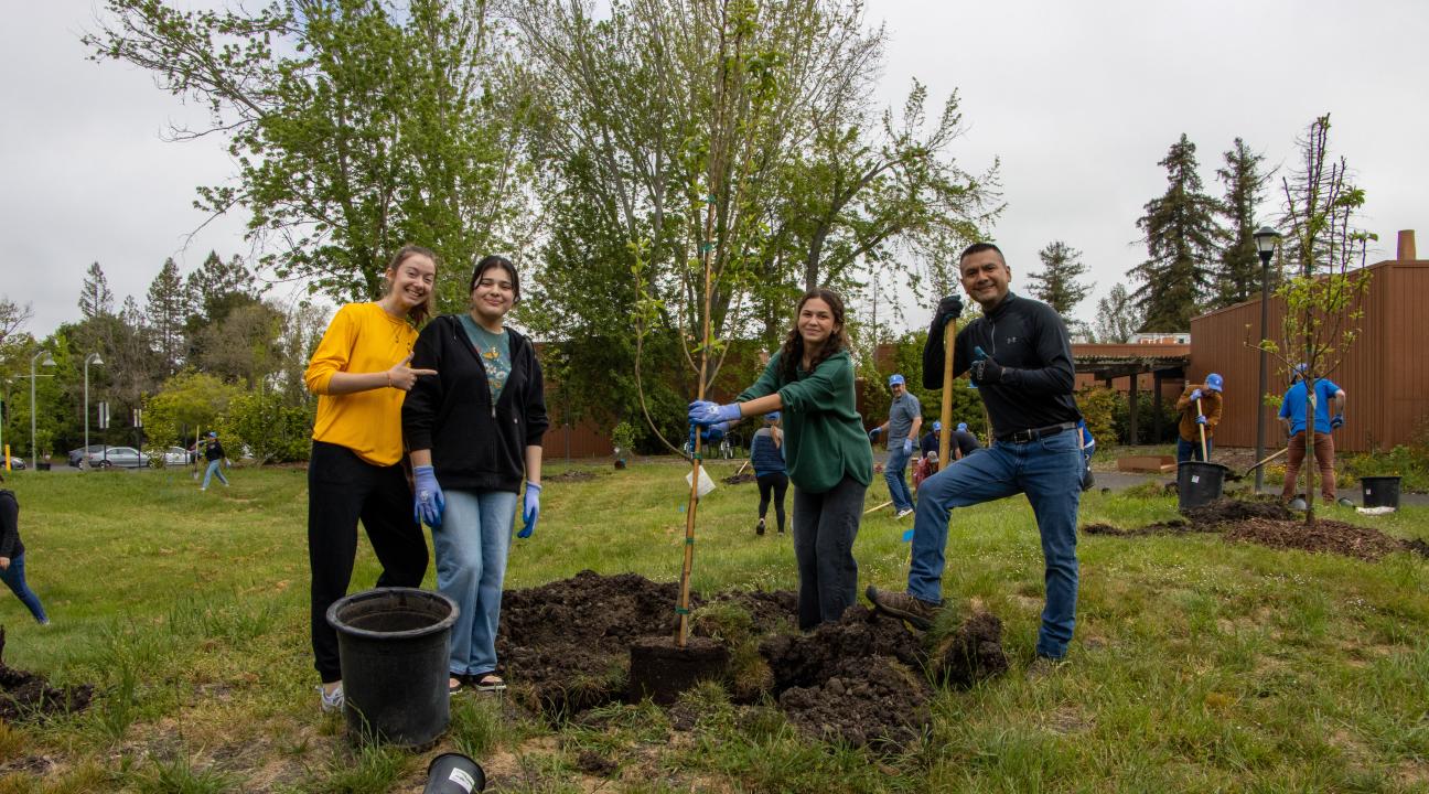 Seawolves Dig In Tree Planting
