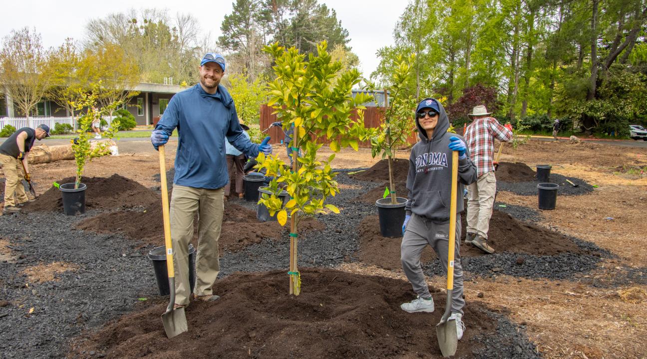 Seawolves Dig In Tree Planting