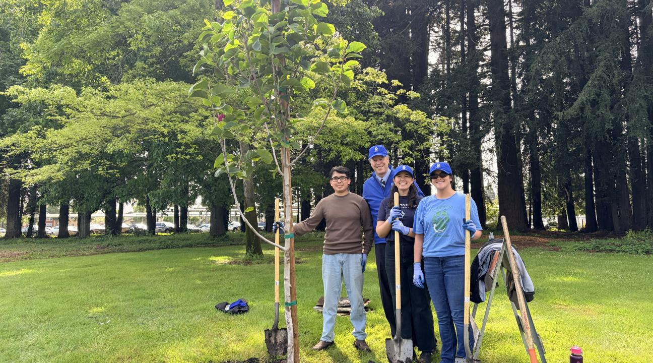 Seawolves Dig In Tree Planting