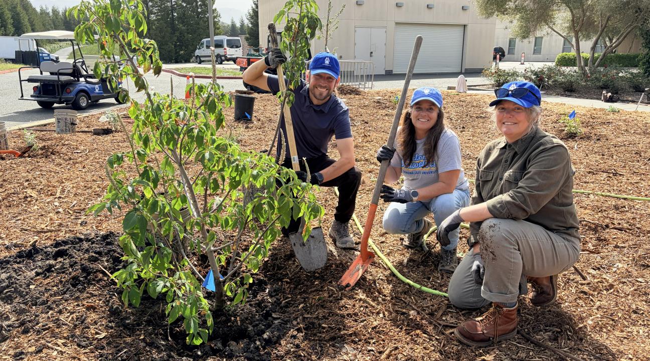 Seawolves Dig In Tree Planting