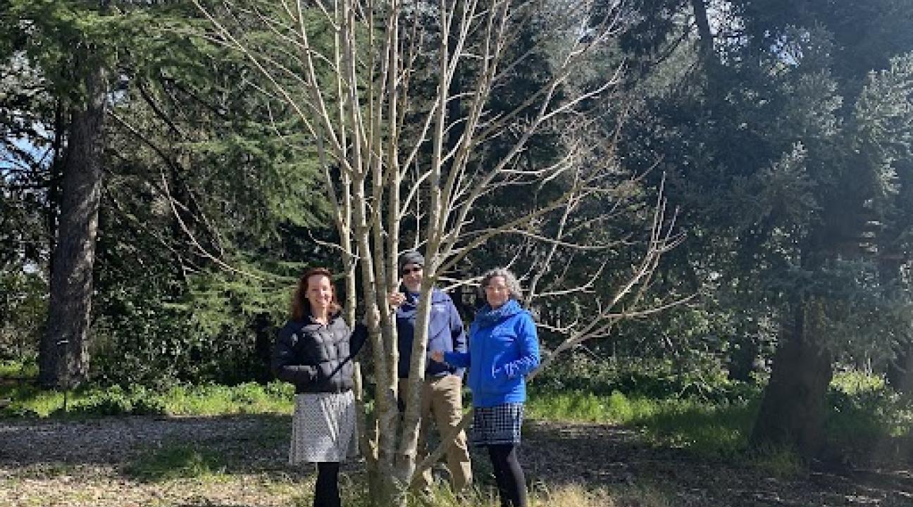photo of three people huddled around tree