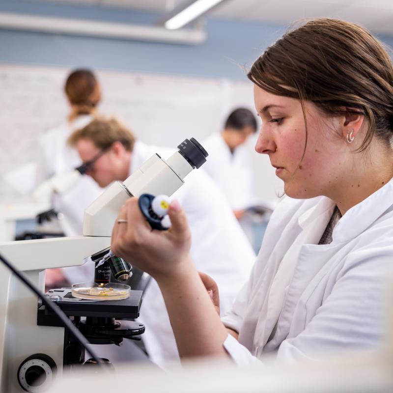 Student performing a science experiment
