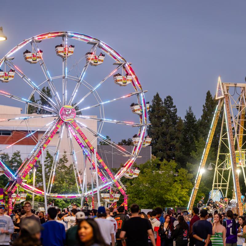 Ferris Wheel at Big Nite