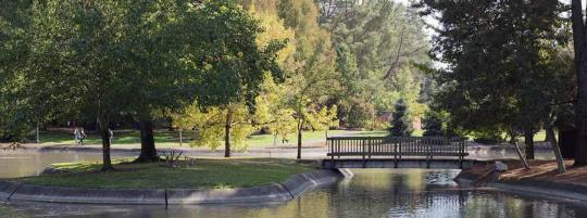 Photo of arched bridge and trees over north lake