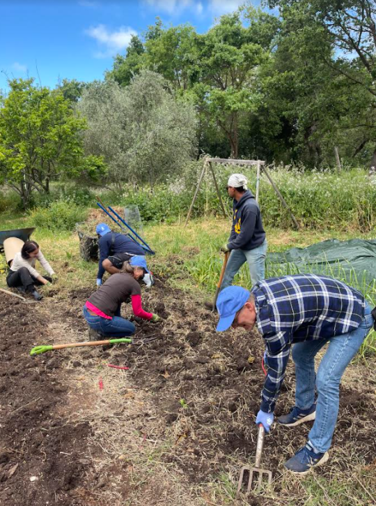 Seawolves Dig In at Campus ETC Garden