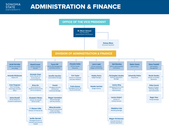 Org Chart