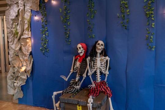 Skeletons posed along the wall