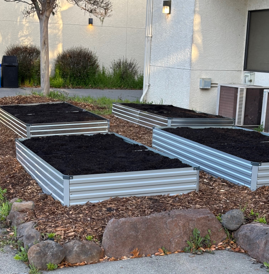 Garden beds outside of UPD