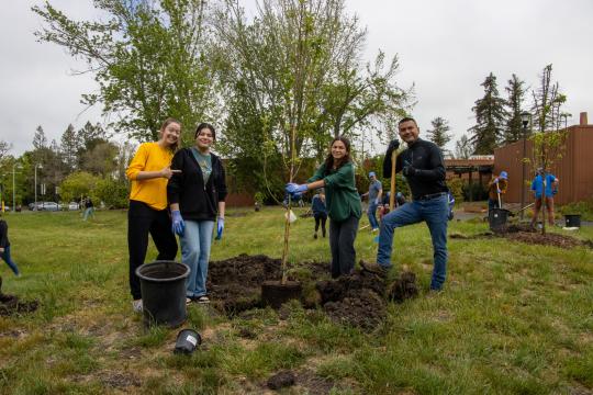 Seawolves Dig In Tree Planting