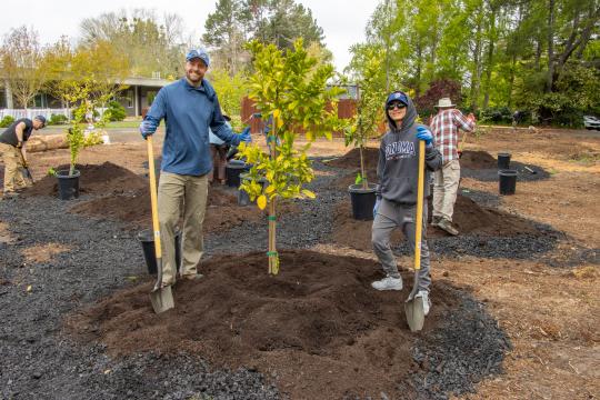 Seawolves Dig In Tree Planting
