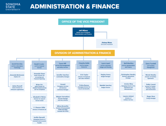 A&F Organizational Chart