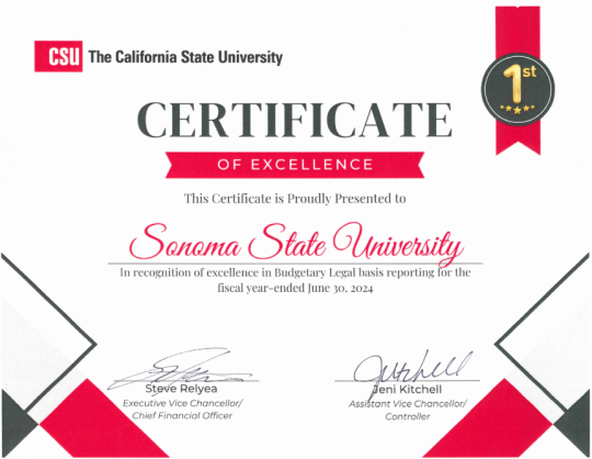 Certificate of 1st place for Financial Services team year end reporting