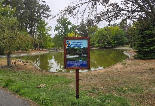 North Ponds