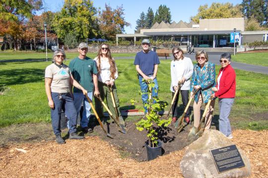 Planting peace tree
