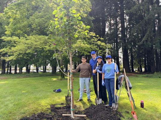 Seawolves Dig In Tree Planting