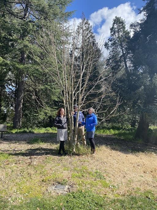 photo of 3 people standing in and around the Anne Frank tree