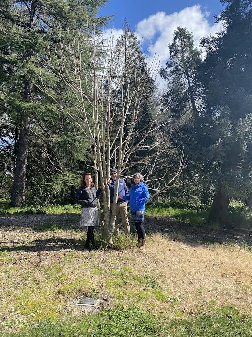 photo of three people huddled around tree