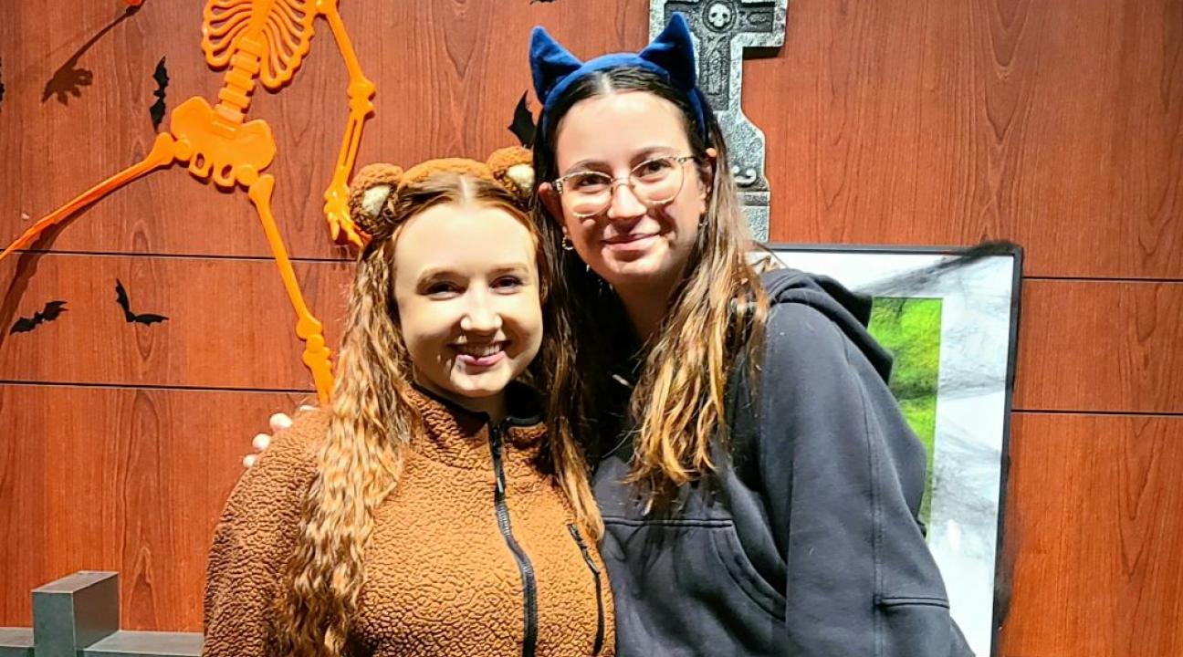 Bear and cat